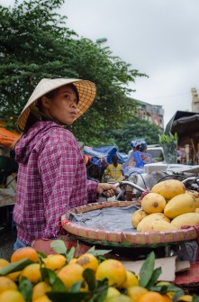 Mango Vendor