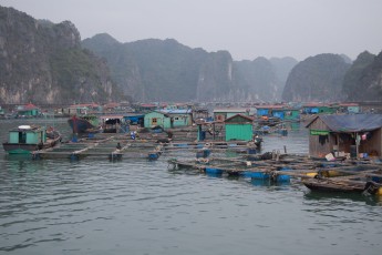 Cat Ba City - Stadteil am Wasser