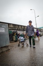 Man with Stroller